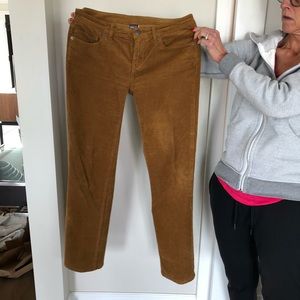 Patagonia corduroy pants.